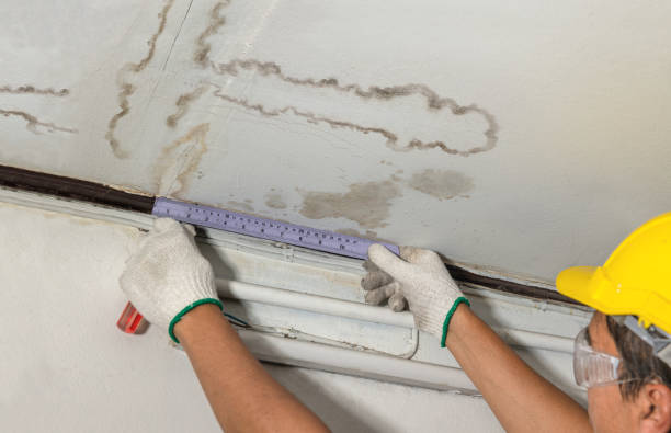 Reliable Water Damage contractor in Orwell, OH by Water Damage Irwin